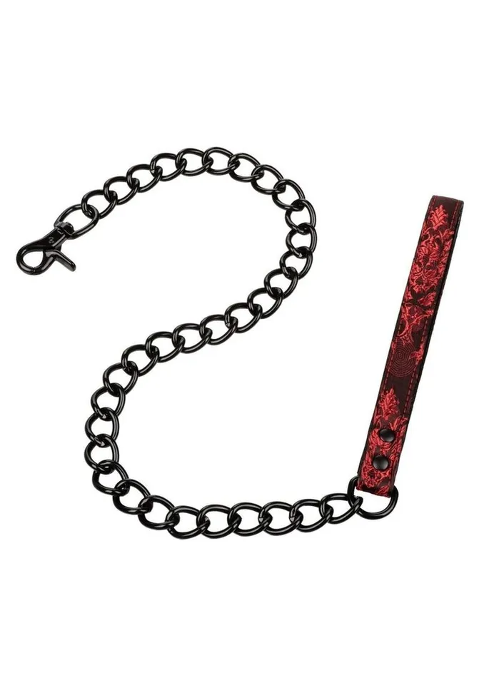 Scandal Leash Scandal Vibrators Scandal Leash Scandal Vibrators